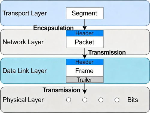 軟件設計師視角下的網絡與信息安全 核心框架與OSI七層模型詳解及其在軟件開發中的應用